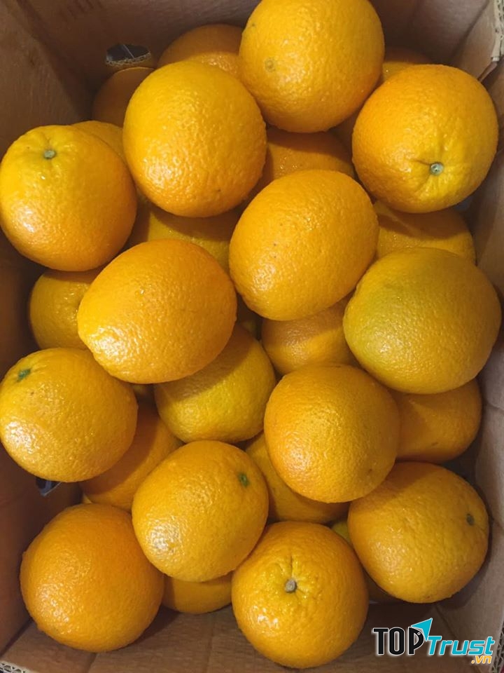 Siêu Thị Rau quả thực phẩm sạch Thiên An