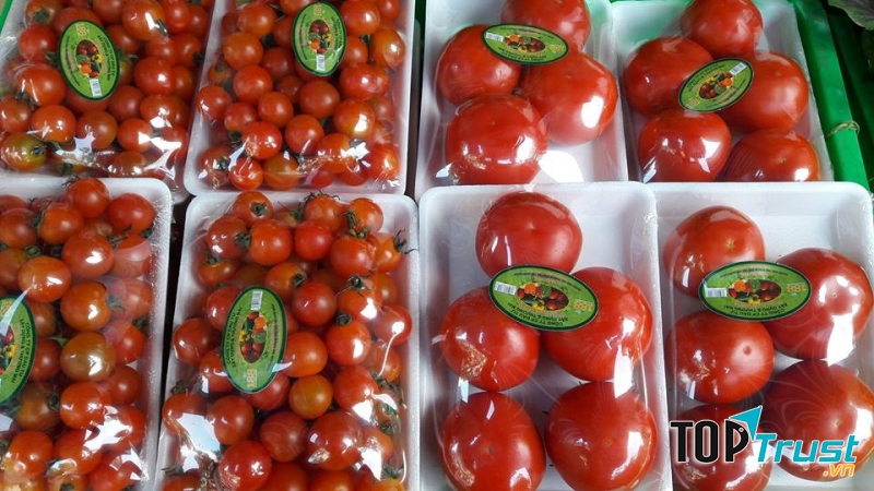 Siêu thị thực phẩm hữu cơ BENCIMART