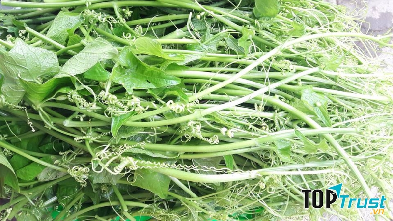 Siêu thị thực phẩm hữu cơ BENCIMART