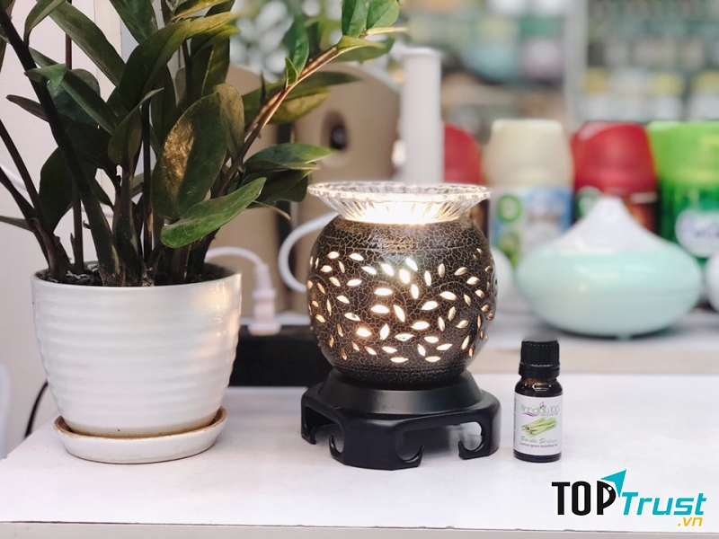 Siêu thị tinh dầu 100