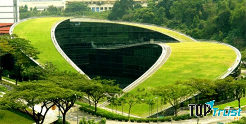 Đại học công nghệ Nanyang (NTU), Singapore