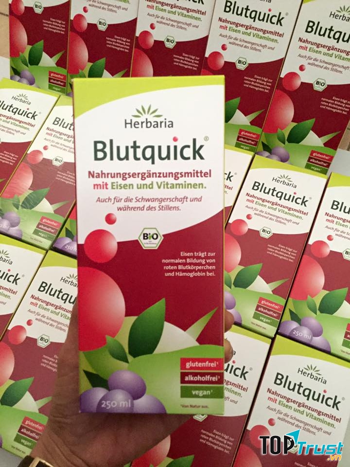Dung dịch bổ sắt Blutquick