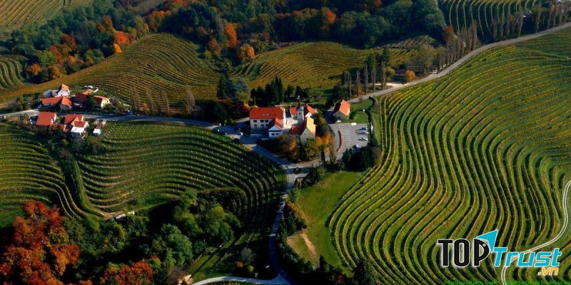 Valentine tại Slovenia không được tổ chức vào ngày 14/2