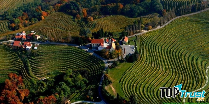 Valentine tại Slovenia không được tổ chức vào ngày 14/2