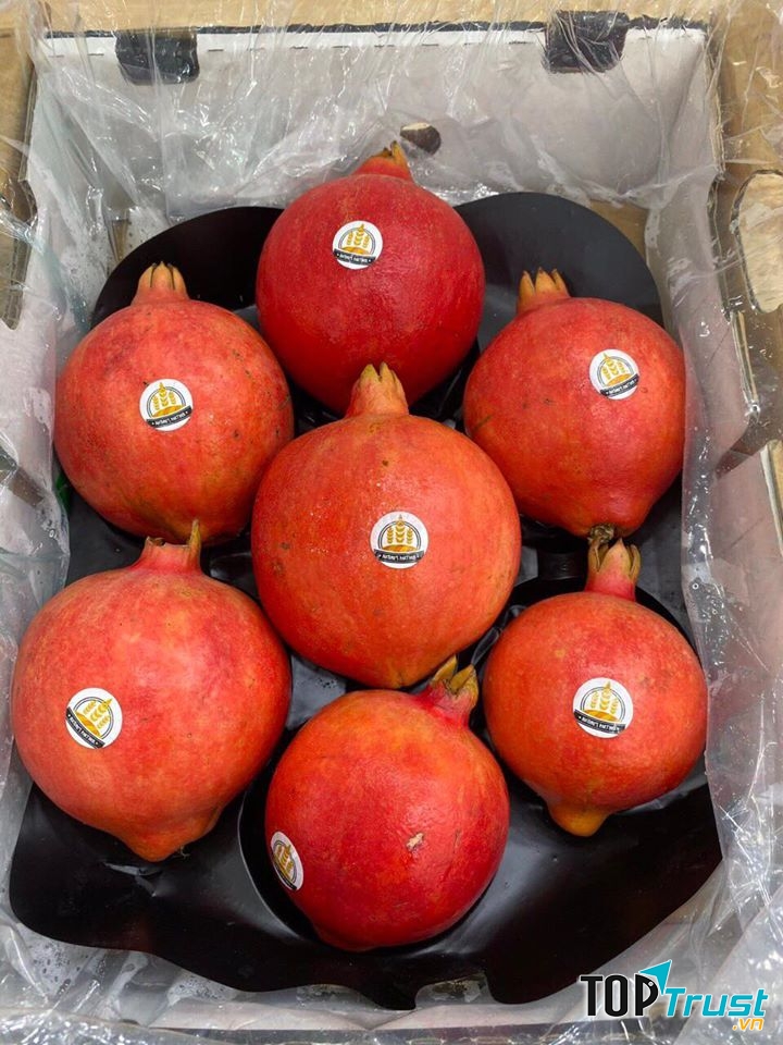 Smart Fruits - Trái cây nhập khẩu