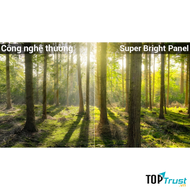 Smart Tivi Panasonic TH-55FX800V có màu sắc rực rỡ, tự nhiên rõ nét đều nhờ vào độ sáng cao