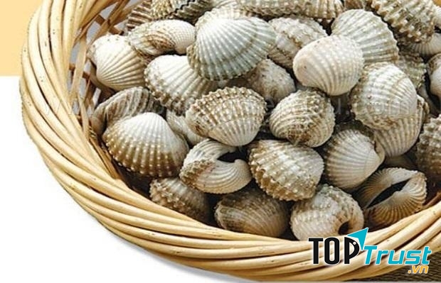 sò huyết được đánh giá là món ăn ngon, là bài thuốc hữu hiệu trong dân gian Việt Nam.