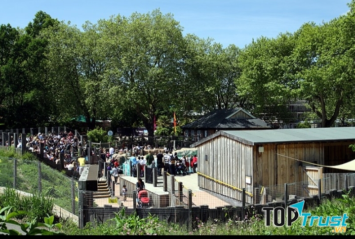 Sở thú Luân Đôn