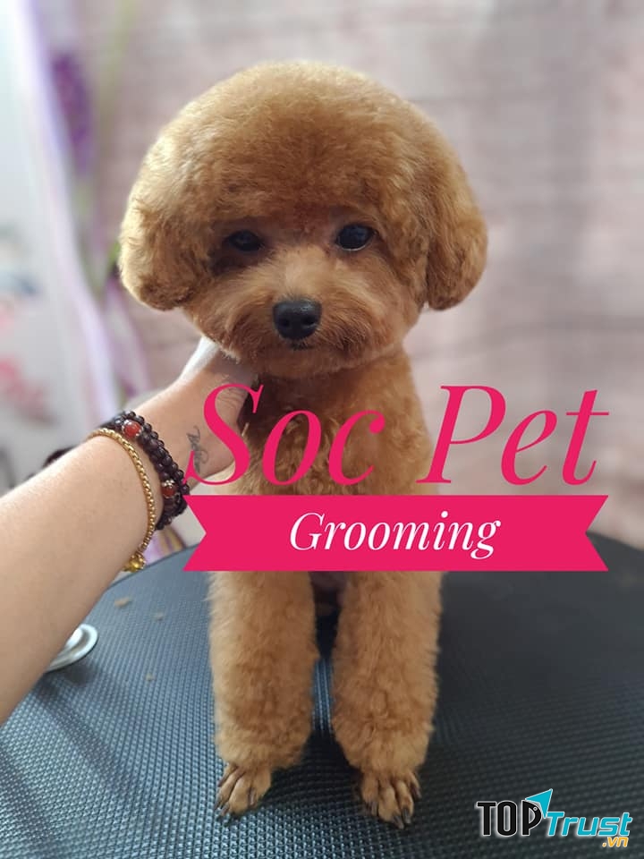 Soc Pet Grooming