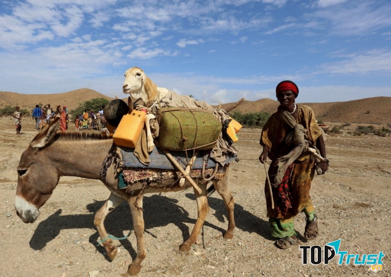 Những khó khăn trong cuộc sống cùng với nội chiến khiến cho đời sống người dân Somalia gặp nhiều khó khăn (Nguồn: Sưu tầm)