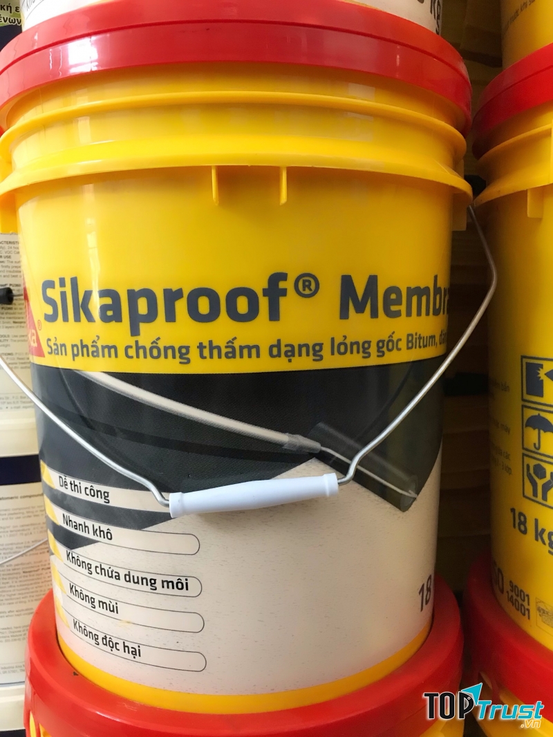 Sơn chống thấm Sika
