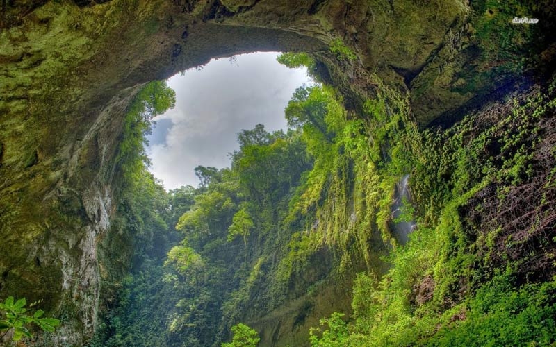Sơn Đoòng đẹp lạ lùng cùng sự phong phú của thảm thực vật tự nhiên kỳ bí