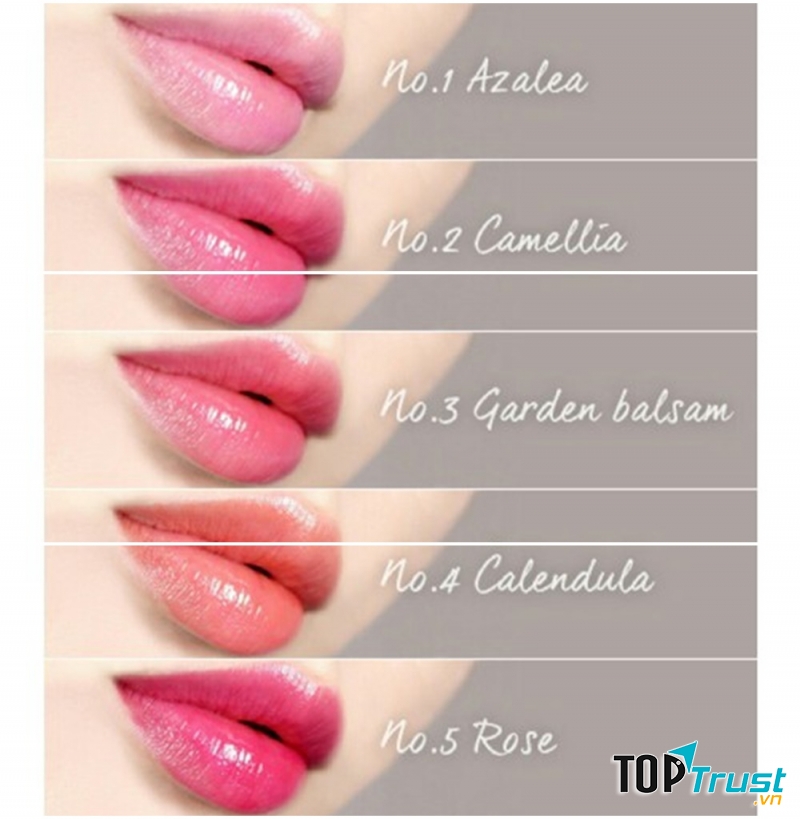 Son dưỡng môi có màu Hàn quốc - SDCMHQ