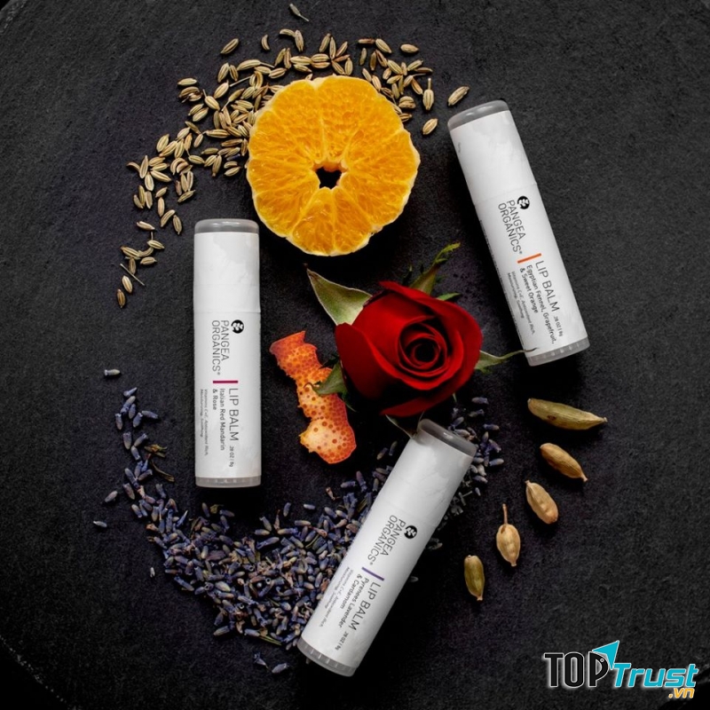Son dưỡng môi hữu cơ Pangea Organics Lip Balm