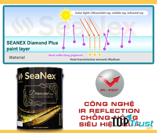 Sản phẩm sơn Seanex