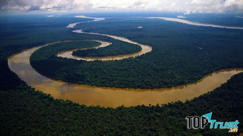 Con sông hùng vĩ chảy qua rừng rậm Amazon