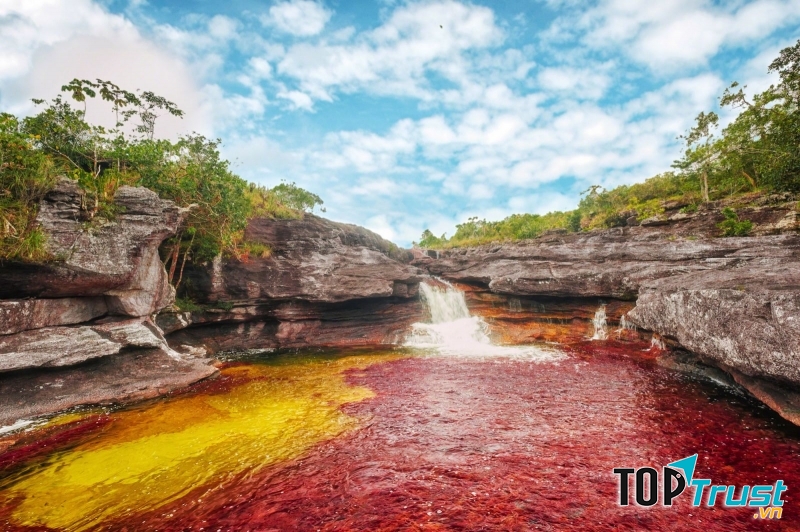 Sông Cano Cristales, Colombia