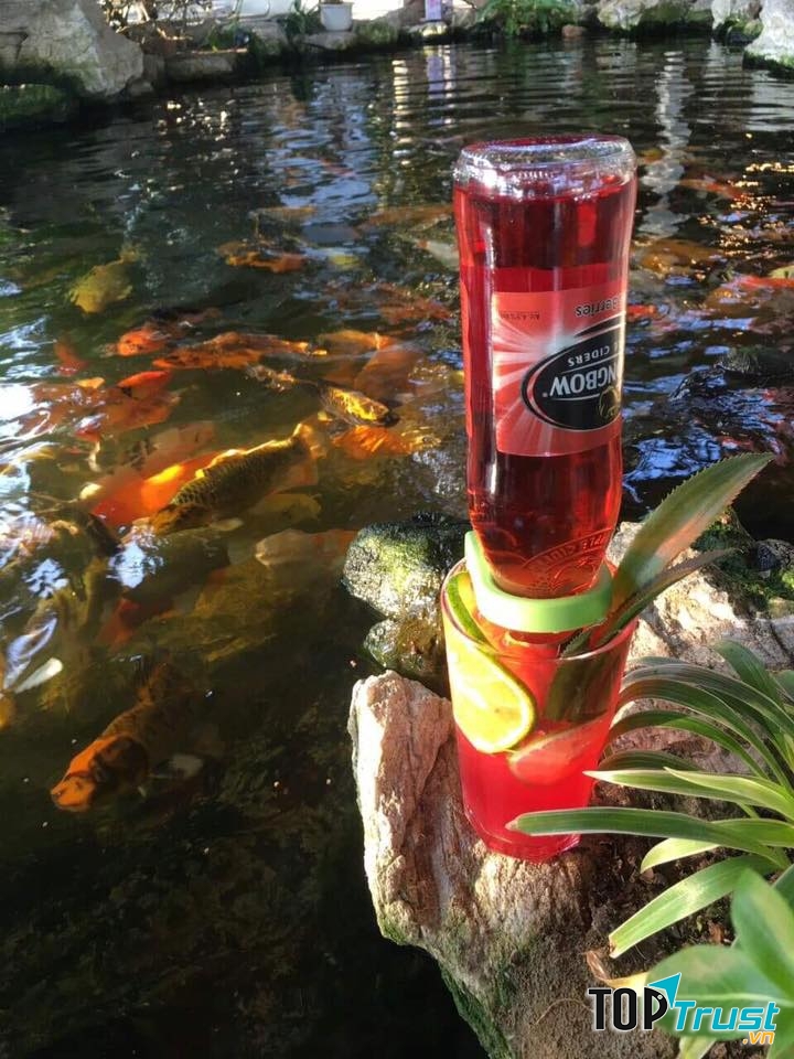 SONIC container coffee