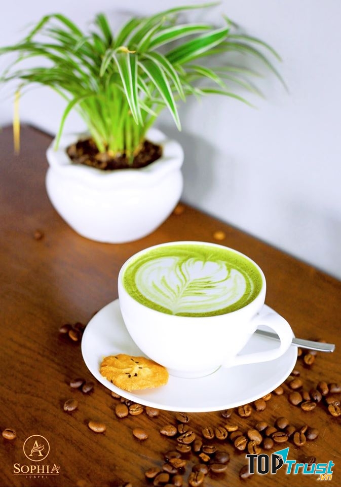 Sophia Cafe