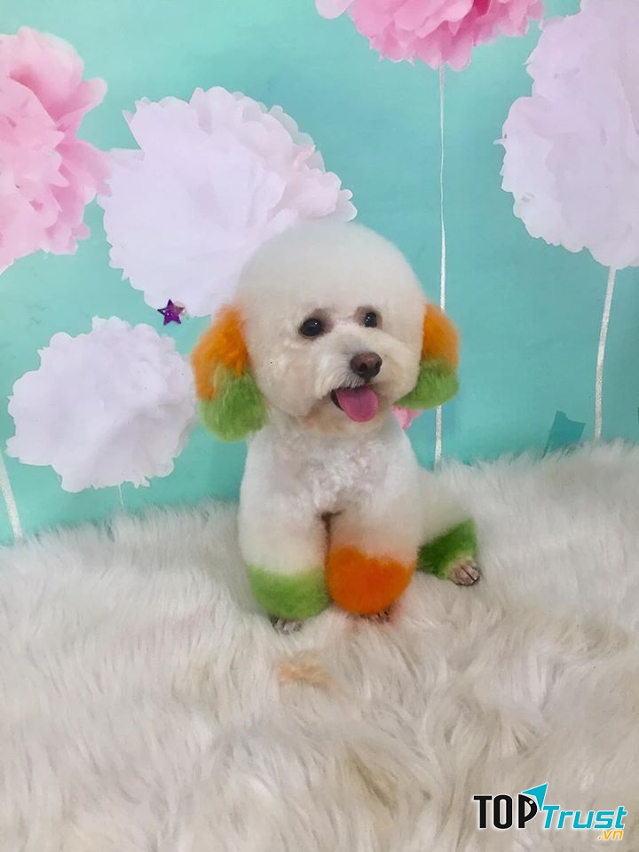 Spa & Grooming & Hotel - Pet Smile