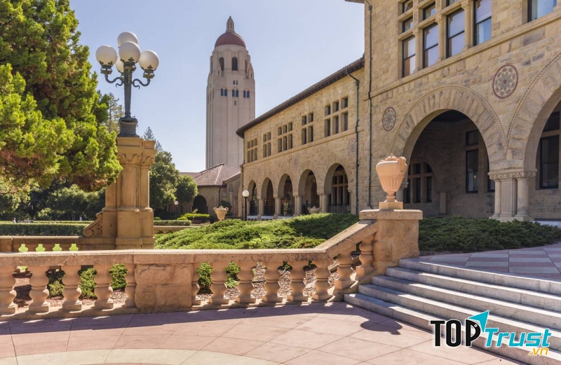 Stanford University