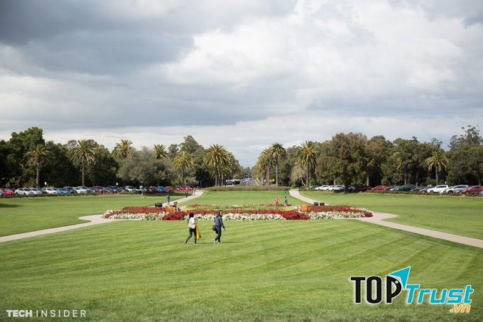 Sân cỏ Trường đại học Standford
