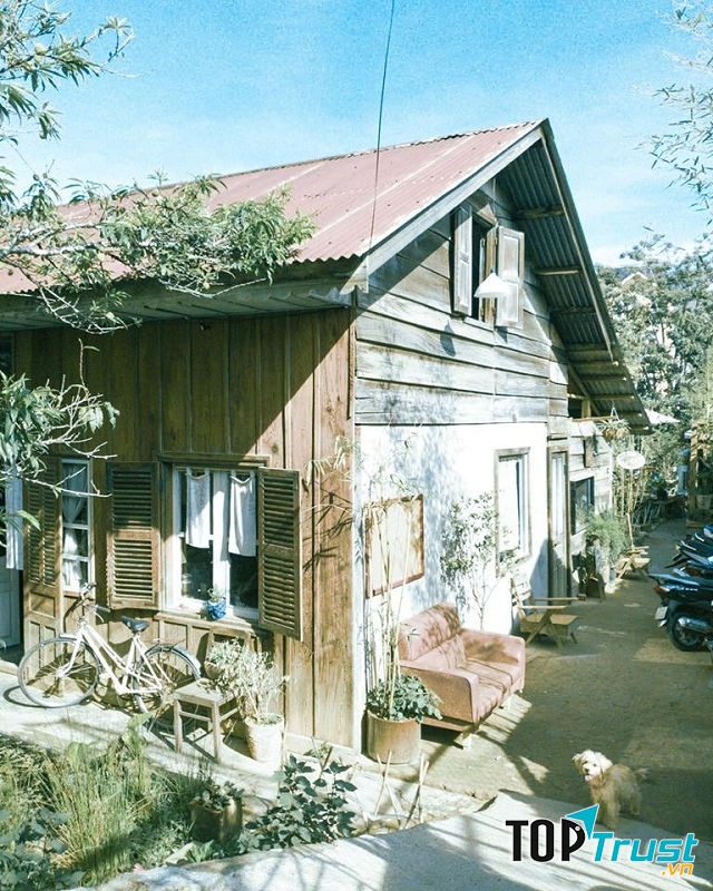 Đến Still, bạn sẽ có cảm giác như được trở về ngôi nhà gỗ nhỏ đầy nắng ấm.