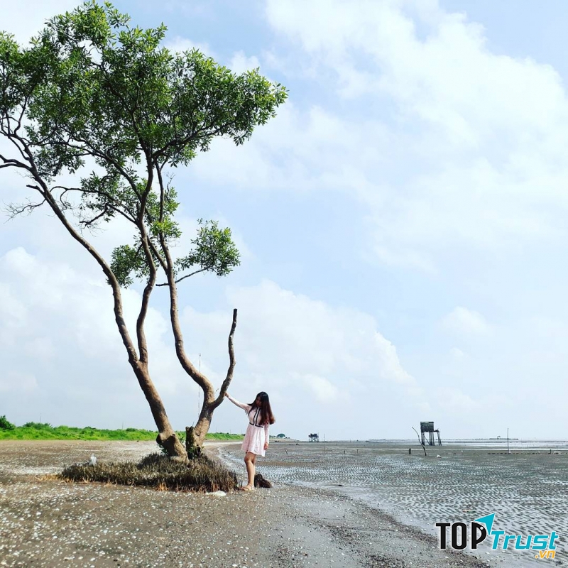 Ảnh minh họa (Nguồn internet)