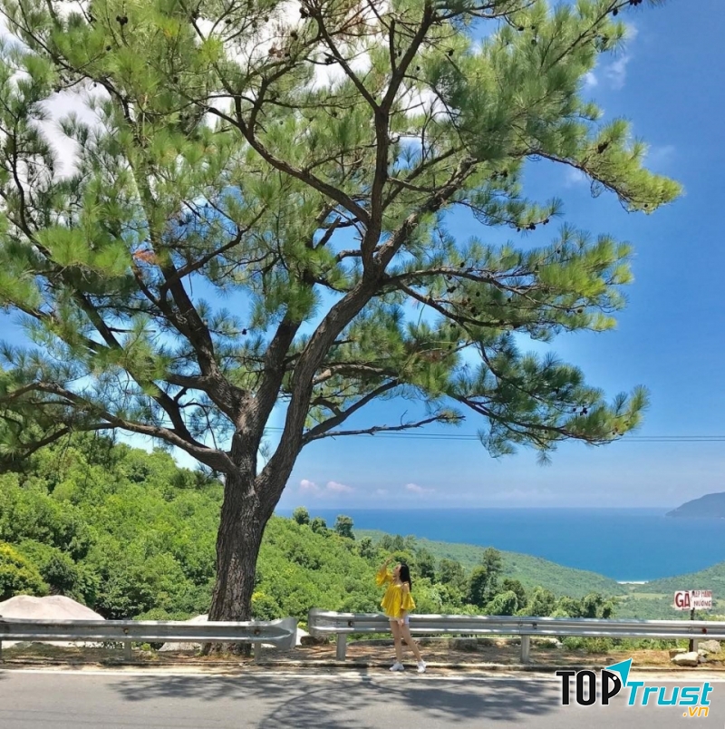 Ảnh minh họa (Nguồn internet)