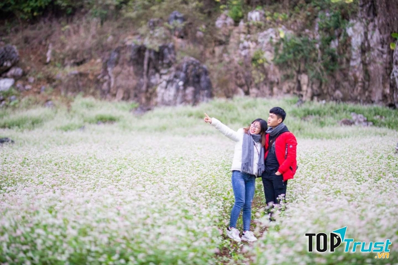 Ảnh minh họa (Nguồn internet)