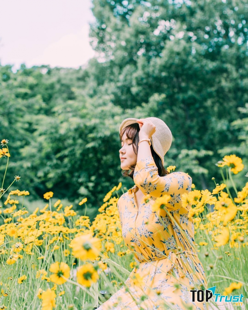 Ảnh minh họa (Nguồn internet)