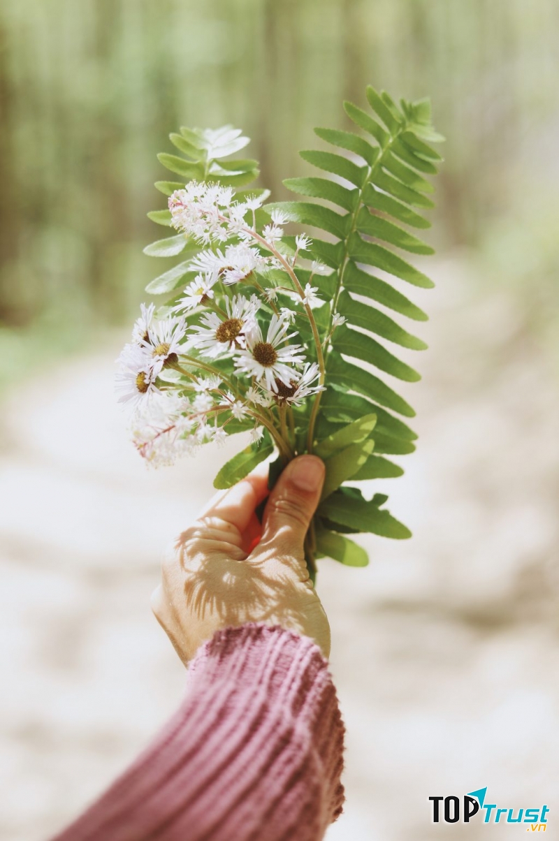 Ảnh minh họa (Nguồn internet)