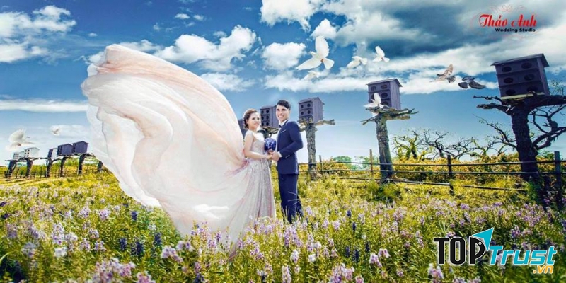 Studio Áo Cưới Thảo Anh