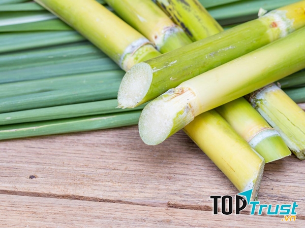 Sử dụng bã mía