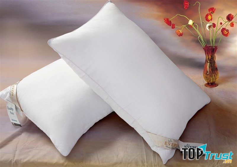 Một chiếc gối phù hợp sẽ cho bạn một giấc ngủ sâu và ngon
