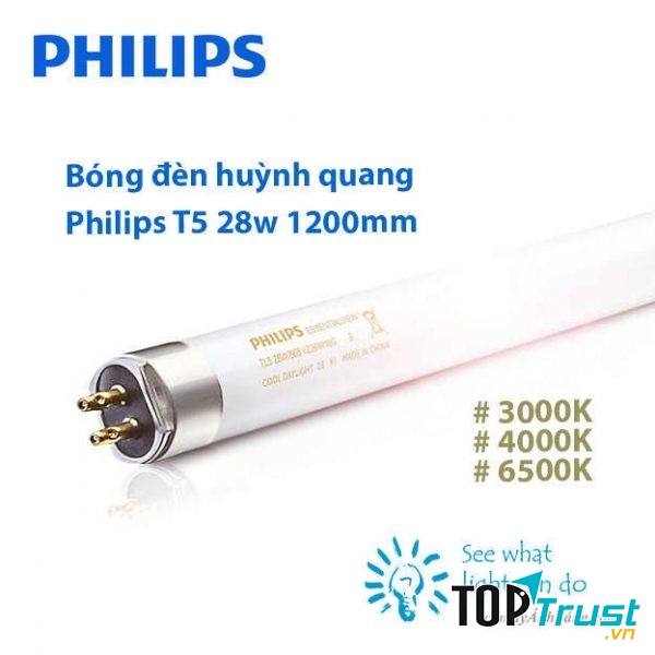 Ảnh minh họa (Nguồn Internet)