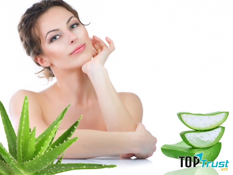 Ngoài sữa, lô hội cũng giúp làm dịu da sau waxing