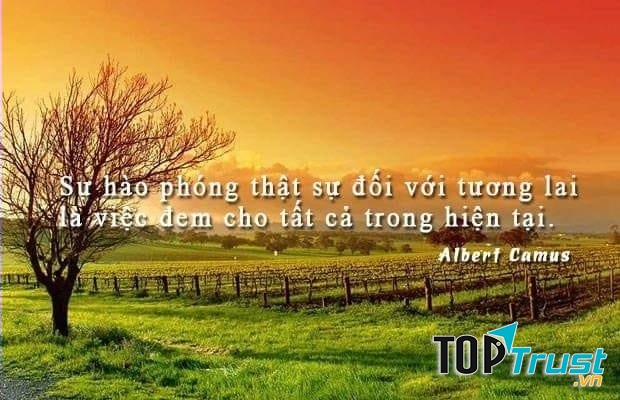 Ảnh minh họa (Nguồn Internet)