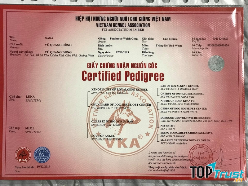 Su Pet's Ho﻿﻿﻿use