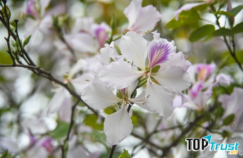 Ảnh minh họa (nguồn internet)