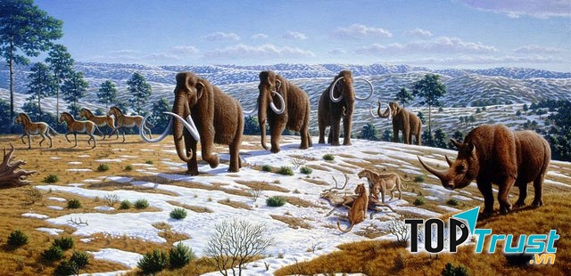 Sự tuyệt chủng Đệ Tứ