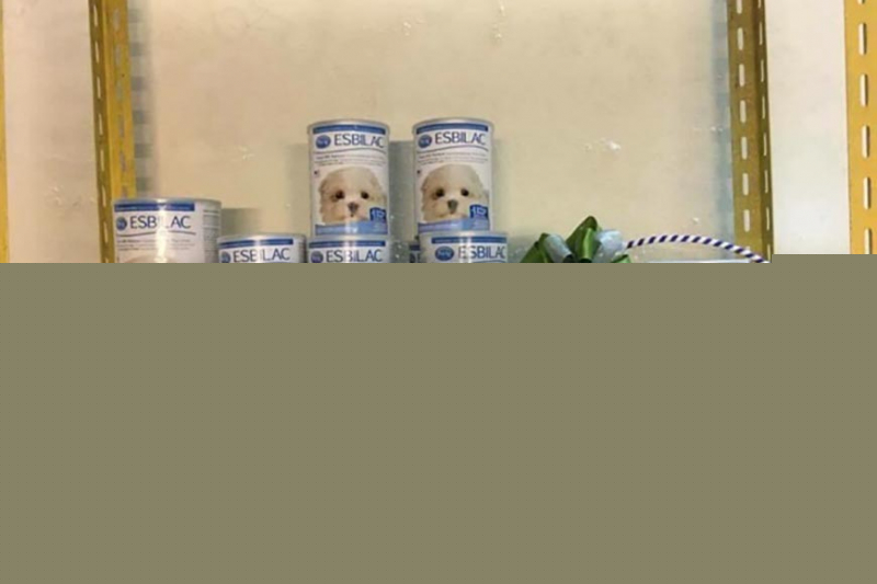 Sữa bột Esbilac cho chó con