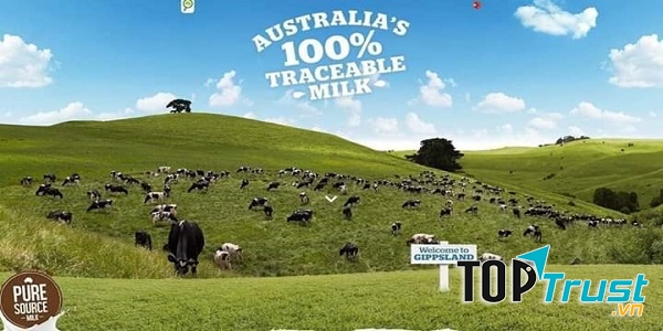 Sữa bột nguyên kem Pure Source nhập khẩu Úc