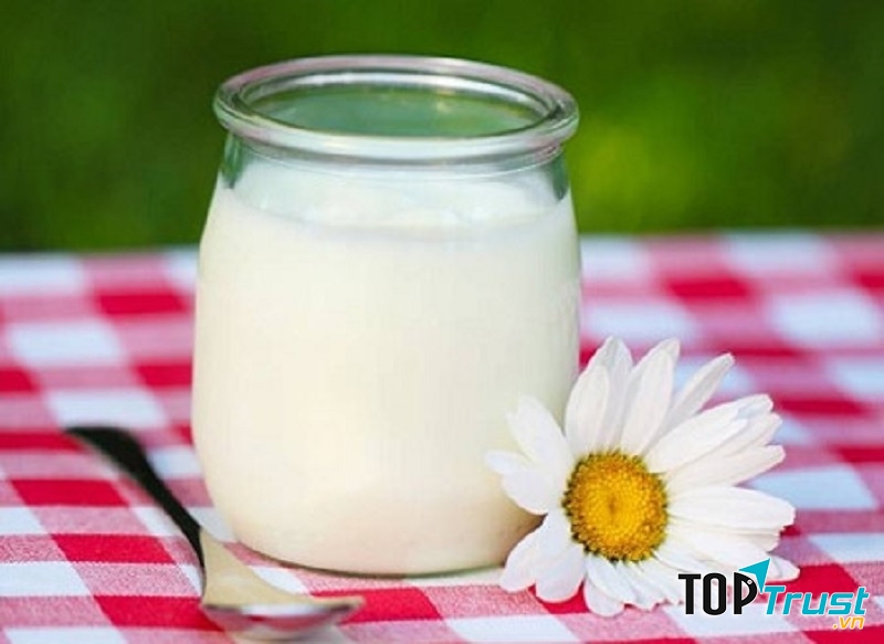 Sữa chua tự làm