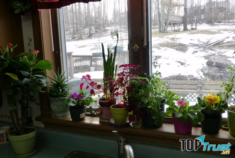 Sửa chữa kính và cửa sổ