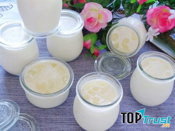 Sữa chua nha đam