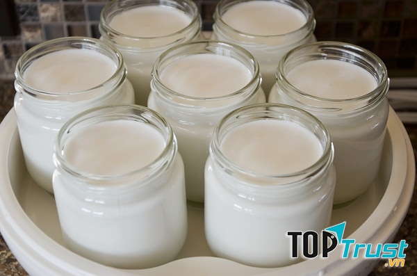 Sữa chua truyền thống