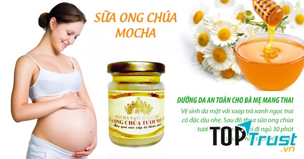 Sữa ong chúa Mộc Hà