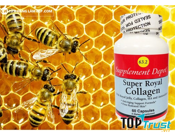 Sữa ong chúa Super Royal Collagen 63.2 với nhiều loại vitamin và khoáng chất giúp cơ thể khỏe mạnh, chống mệt mỏi, tăng cường sinh lực không những vậy còn giúp chống lại quá trình lão hóa sớm, mang lại làn da mịn màng cho chị em phụ nữ.
