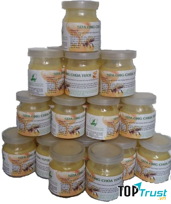 Sữa ong chúa tươi Thảo Mộc Xanh